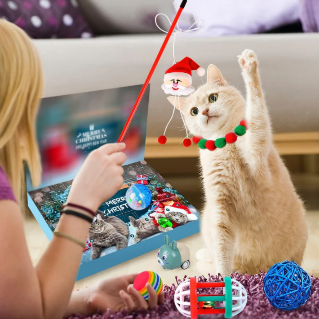 Calendario de Adviento con Gatitos