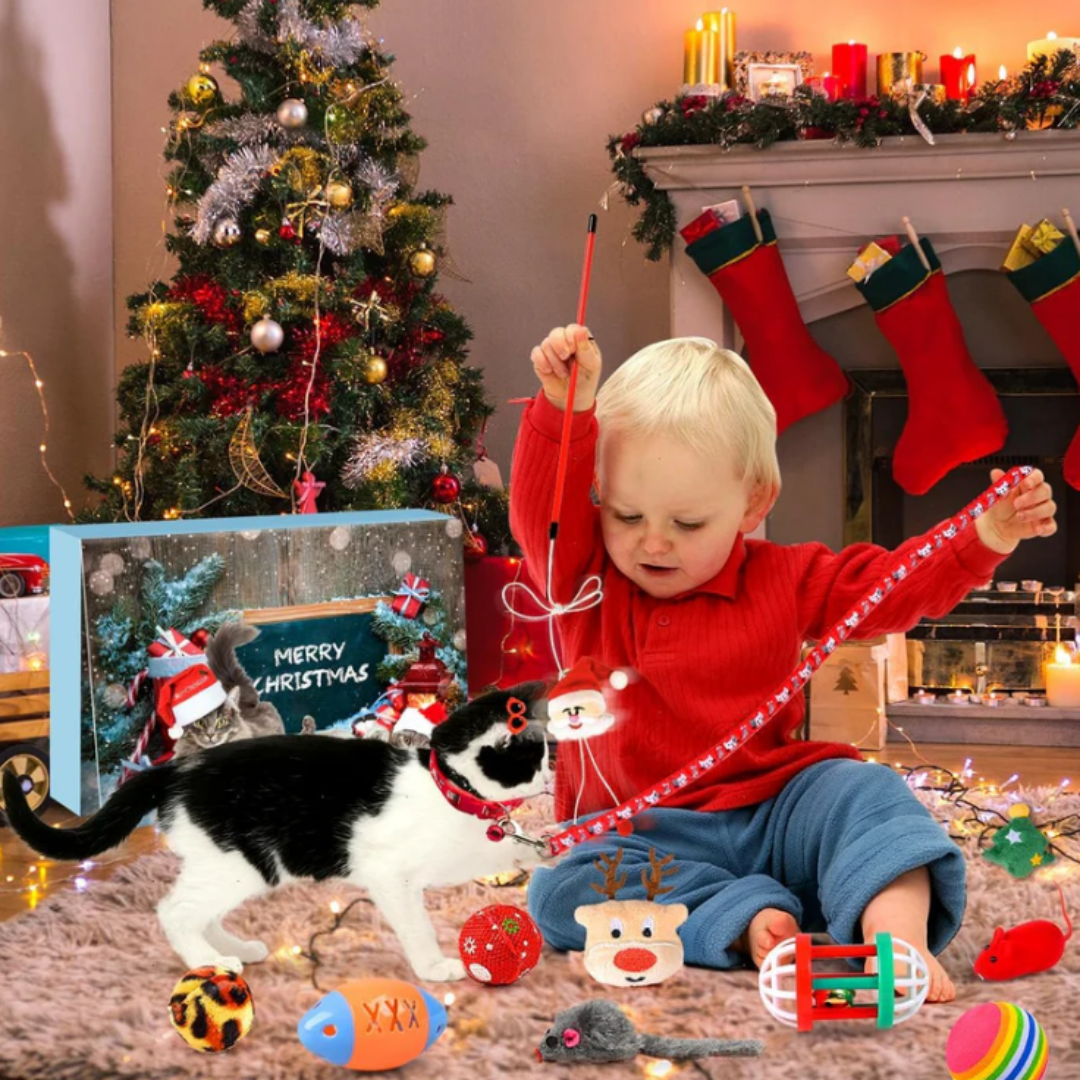 Calendario de Adviento con Gatitos